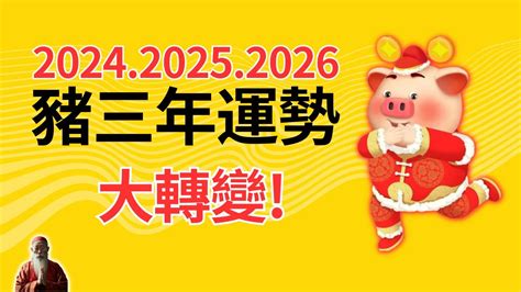 2024年豬|2024屬豬幾歲、2024屬豬運勢、屬豬幸運色、財位、禁忌